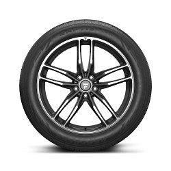 Raptis R-T6X - Image 4